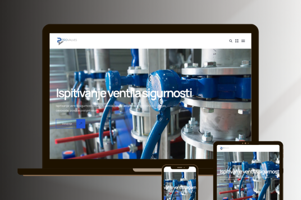 Redizajn veb-sajta PROVALVES 2012